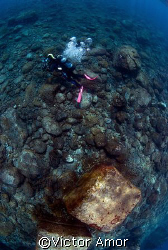 Top view by Victor Amor 